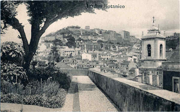 S/N - Jardim Botnico (1) - Edio da Seco de Postais dos Grande Armazns do Chiado, Lisboa - Dim. 138x87 mm - Col. A. Monge da Silva (cerca de 1910)