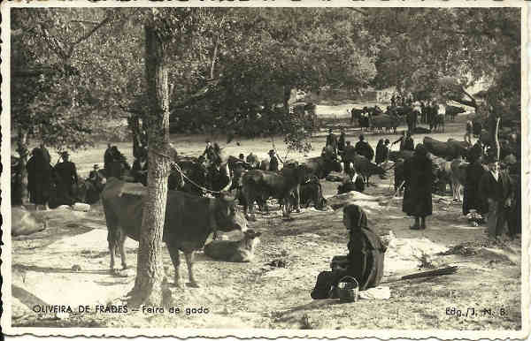 SN - Oliveira de Frades - Feira de Gado - Edio JNB - SD - Dim. 13x8 cm - Col. A. Jorge Tavares (1939)