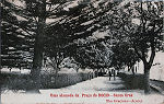 SN - Villa de Santa Cruz, uma alameda da Praa do Rocio -  Editor desconhecido - Dim. 140x89 mm - Col. A. Monge da Silva (c. 1910)