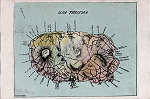 SN - Mapa da ilha Terceira - Editor desc. - Dim. 135x89 mm - Col. A. Monge da Silva (c. 1905)