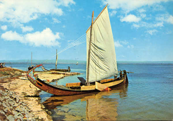 N. 946 - RIA DE AVEIRO. PORTUGAL. Barco Moliceiro - Ed. Centro de Caridade N. Sr do Perptuo Socorro, Porto - SD - Dim. 149x104 mm - Col. nio Semedo