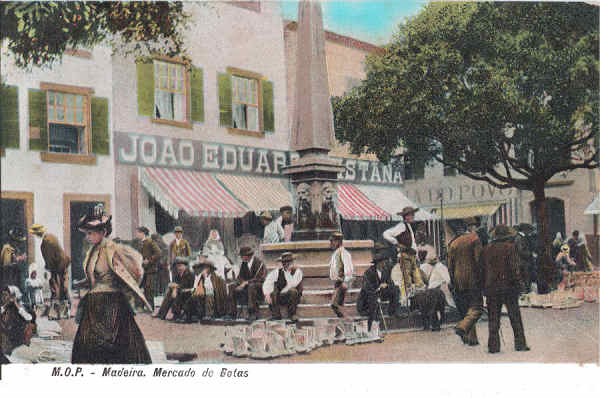 SN - Funchal, Mercado de botas - Editor M.P.O. - Dim. 140x91 mm - Col. A. Monge da Silva