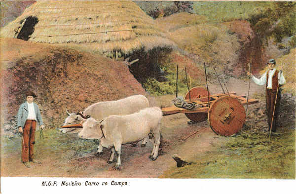 SN - Carro no Campo - Editor M.P.O. - Dim. 141x92 mm - Col. A. Monge da Silva (c.1910)