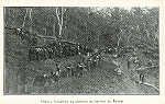 SN - Timor - Trabalhos da acertura da estrada de Faitem - Edio da Circunscrio Civil de Liquia -  SD - Dim. ??x?? cm - Col. Monge da Silva (Cerca de 1925)