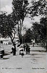 N 733 - Campo de Viriato - Editor Alberto Malva, Rua da Magdalena, 23, Lisboa - Dim. 138x89 mm - (papel fotogrfico) - Col. A. Monge da Silva