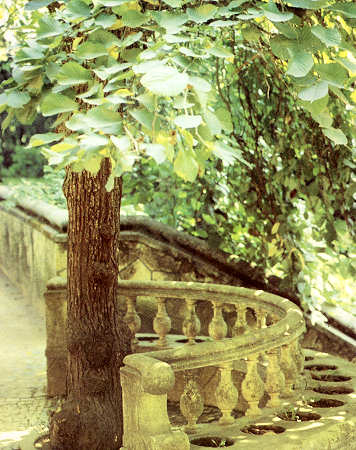 Parque Infante D. Pedro, em Aveiro.