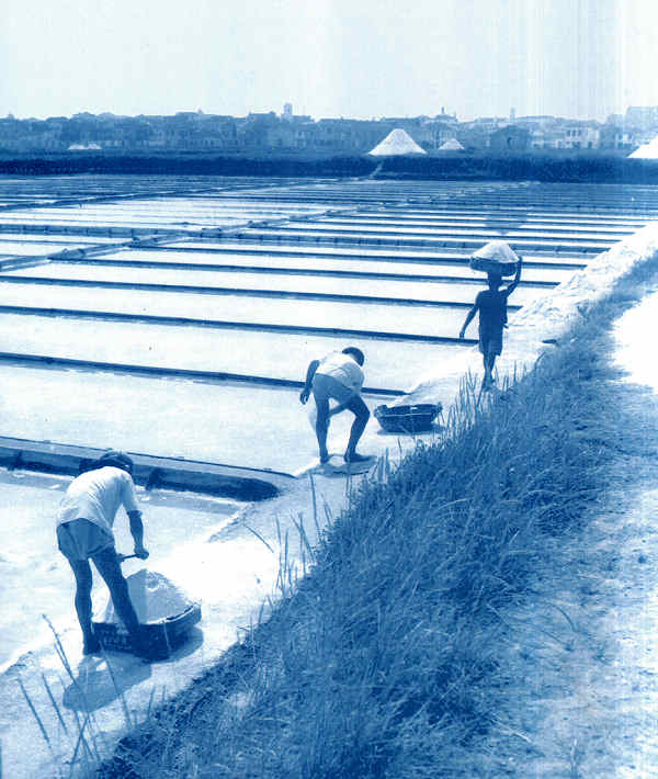 A dureza da faina do sal. Fotografia de Joo Salgueiro.