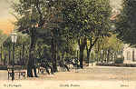 N. 81 - Portugal Jardim Publico Aveiro - Edio de Malva & Roque, Rua do Arsenal, 113 Lisboa - SD - Dim 13,8x9 cm. - Col FMSarmento (circulado em 23-5-1908).