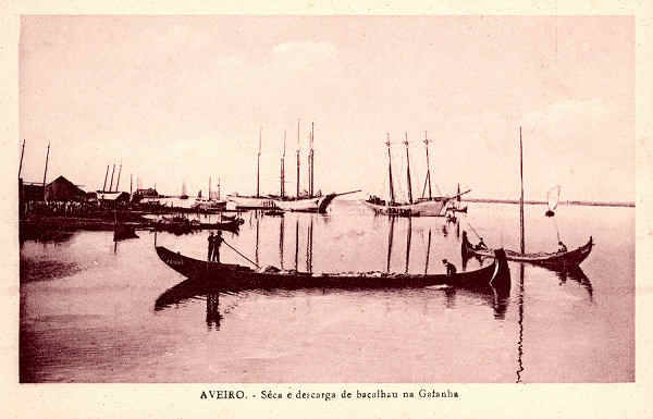 SN - AVEIRO Seca e descarga de bacalhau na Gafanha - Edio Souto Ratolla, Aveiro - SD - Dimenses: 14x9,2 cm. - Col. FMSarmento