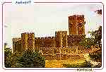 N. 10 253 - Sabugal: Castelo - Edio de Foto Ribaca, Sabugal (Dcada de 1990) - Dimenses: 15x10,5 cm. - Col. Ftima Bia.