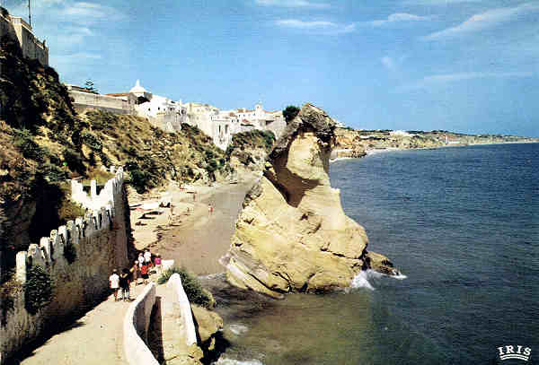 F-377 - ALBUFEIRA (Algarve) Vista parcial e Praia - Ed. IBEREX-Lisboa - S/D - Dim: 15x10,5cm - Col. Manuel e Ftima Bia (1967).