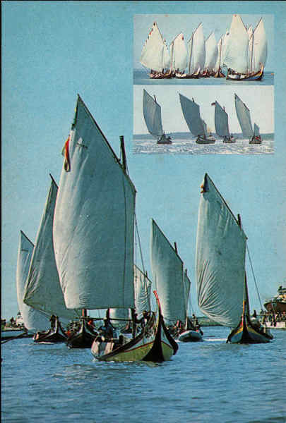 N. 3/Srie 81 - AVEIRO (Portugal) Regata de moliceiros (Festa da Ria) - Edio da Comisso Municipal de Turismo de Aveiro - S/D - Dimenses: 15x10,2 cm. - Col. nio Semedo.