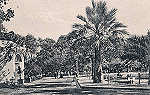 S/N - Portugal Caldas da Rainha Um trecho do Parque - Editor Jos da Silva Dias (Editado em 1912) - Dimenses: 9x14 cm. - Col. Miguel Chaby