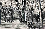 N. 55 - Portugal Caldas da Rainha Rua Central do Parque_Editor Dias e Paramos_Editado 1906_Dim 9x14 cm. - Col. M. Chaby