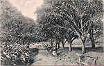 S/N - Portugal Caldas da Rainha Foz do Arelho Rua da Fonte da Quinta do Bom Sucesso - Editor Jos da Silva Dias (Editado em 1912) - Dim. 9x14 cm. - Col. M. Chaby