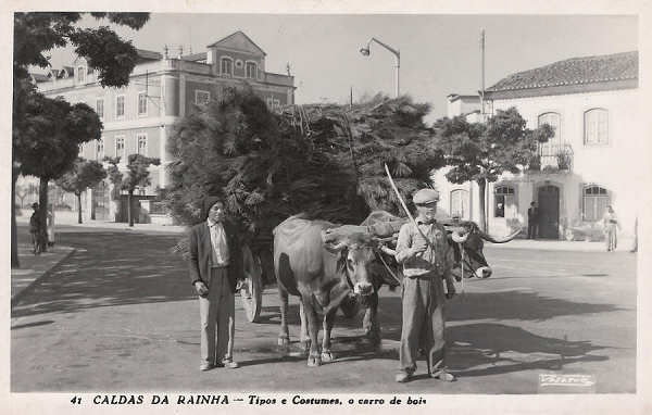 N. 41 - Portugal Caldas da Rainha Tipos e costumes, o carro de bois - Editor Passaporte Loty (Editado em 1951) - Dimenses: 9x14 cm. - Col. Miguel Chaby