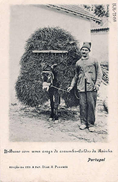 N. 21 - Portugal Caldas da Rainha Burro com uma carga de carumba - Editor Dias e Paramos (Editado em 1906) - Dimenses: 9x14 cm. - Col. Miguel Chaby