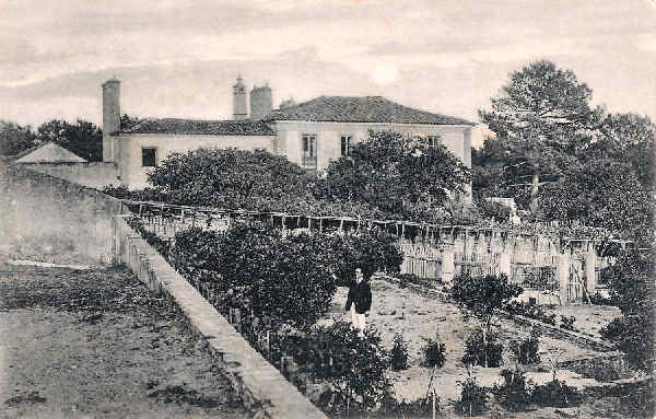 S/N - Portugal Caldas da Rainha Foz do Arelho Jardim da Quinta do Bom Sucesso - Editor Jos da Silva Dias (Editado em 1912) - Dim. 9x14 cm. - Col. M. Chaby