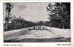 SN - Curia - Avenida do Parque - Ed. Bazar da Curia - Dim. 13,9x8,9 cm - Col. A. Simes (025).