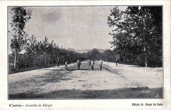 SN - Curia - Avenida do Parque - Ed. Bazar da Curia - Dim. 13,9x8,9 cm - Col. A. Simes (025).