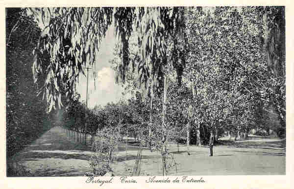 SN - Portugal. Curia. Avenida da Entrada - Ed. Bazar Soares, Porto - (Foto Soares Leito, Curia) - Dim.13,8x9,0 cm - Col. A. Simes (332).