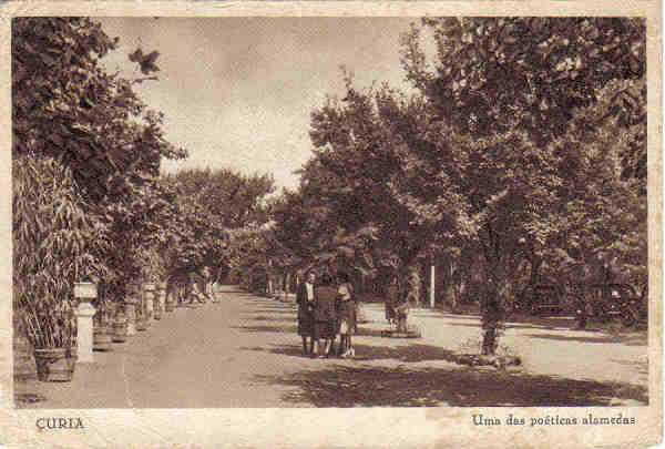 SN - CURIA - Uma das poeticas alamedas - Ed. Casa dos Bordados e Crochets das Ilhas Eduardo F. Neves - Dim. 14,5x9,8 - Circul. 1947 - Col. A. Simes (193 -1).