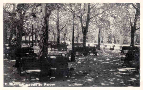 SN - CURIA - Um aspecto do Parque - Editor no referenciado (Fotogrfico) - Dim. 15,8x9,0cm - Circul. 1-1947 - Col. A. Simes (184).