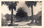 SN - Portugal - Curia - Um trecho do Parque - Ed. Foto Soares, Porto - Curia - Gerez -Dim. 13,8x8,9 cm - Circ. 1931 - Col. A. Simes ( 394).