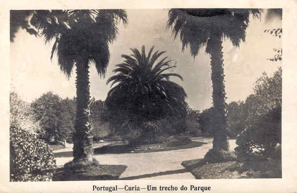 SN - Portugal - Curia - Um trecho do Parque - Ed. Foto Soares, Porto - Curia - Gerez -Dim. 13,8x8,9 cm - Circ. 1931 - Col. A. Simes ( 394).