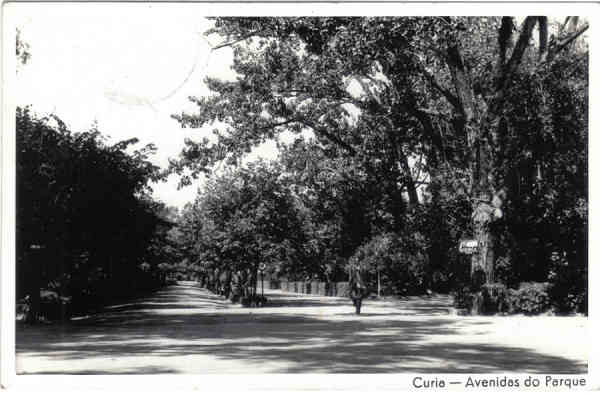 SN - Curia - Avenidas do Parque - Ed. Mimosa - Dim. 13,6x8,7 cm - Circ. 9-1964 - Col. A. Simes (211).