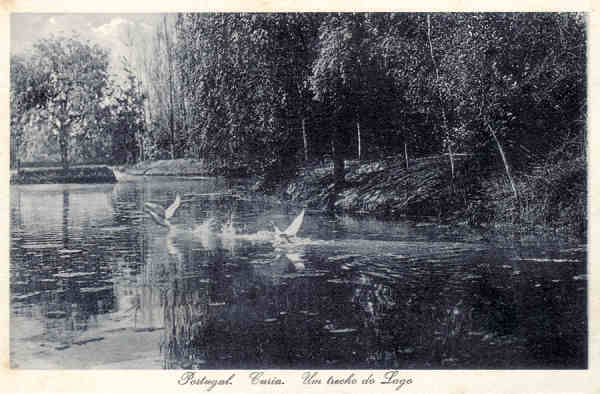 SN - Portugal. Curia. Um trecho do Lago - Dim.13,9x9,1 cm - Col. A. Simes (152).