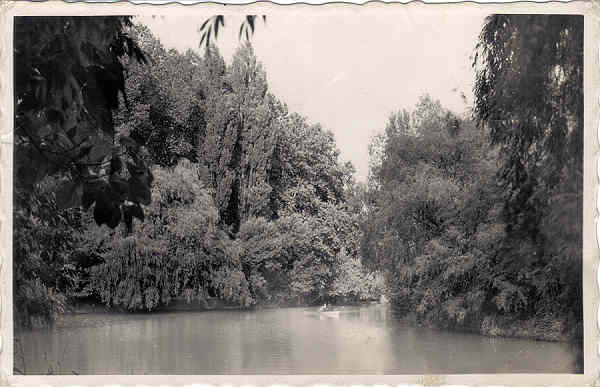 SN - CURIA - Portugal - Um aspecto do Lago - Ed. Soc. guas da Curia - Dim. 14,0x9,0 cm - 2/1951 - Col. A. Simes (190).