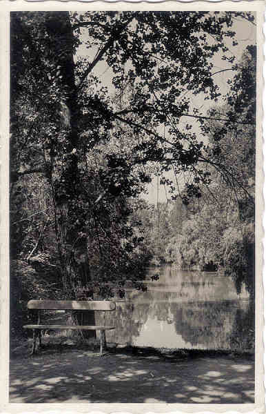 SN - CURIA - Portugal - Recorte do Lago - Edic Junta de Turismo, Curia - SD - Dim. 14,0x9,1 cm - Col. A. Simes (199).