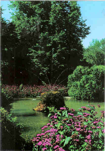 N 3 - CURIA - Portugal - Jardins do Parque - Ed. da Junta de Turismo da Curia - 14,9,x10,4 cm. - Col. A. Simes 1105