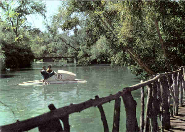 N 10 - CURIA - Portugal - Trecho do lago - Ed. da Junta de Turismo da Curia - 14,8x10,5 cm. - Circ. 7/1967 - Col. A. Simes 1108.