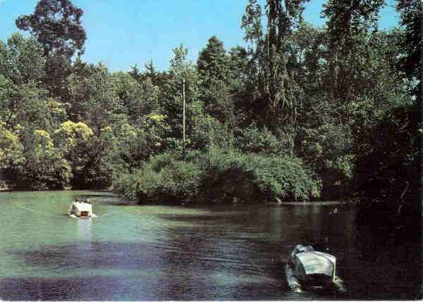 N 13 - CURIA - Portugal - Um trecho do lago - Ed. da Junta de Turismo da Curia - 14,7x10,4 cm. - Circ. 1/1985 - Col. A. Simes 1008.