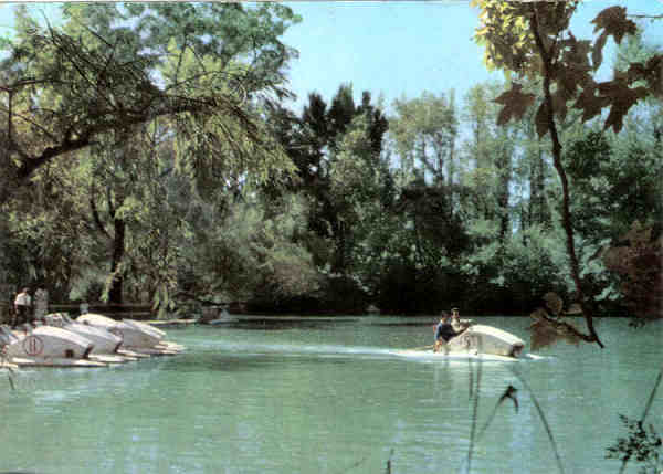 N 16 - CURIA - Portugal - Um trecho do lago - Ed. da Junta de Turismo da Curia - 14,7x10,5 cm. - Circ 9/1980 - Col. A. Simes 1009.