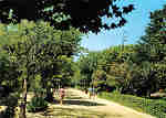 N 19 - CURIA - Portugal - Avenida principal do parque - Ed. da Junta de Turismo da Curia - 15,0x10,6 cm. - Col. A. Simes 1010.