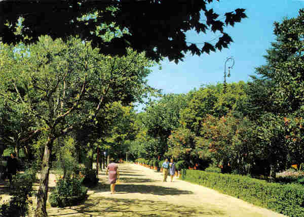 N 19 - CURIA - Portugal - Avenida principal do parque - Ed. da Junta de Turismo da Curia - 15,0x10,6 cm. - Col. A. Simes 1010.