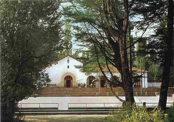 N 1 - CURIA - Casa de Cha e Rink - Ed. Postal da amizade - 14,7x10,4 cm. - Circ. 8/1986 - Col. A. Simes 1023.