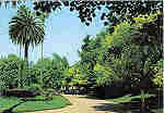 N 19 - CURIA - Portugal - Jardins do Parque - Ed. Junta de Turismo da Curia - 14,9,x10,5 cm. - Col. A. Simes 1044.