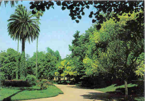 N 19 - CURIA - Portugal - Jardins do Parque - Ed. Junta de Turismo da Curia - 14,9,x10,5 cm. - Col. A. Simes 1044.