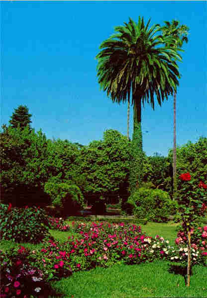 N. 14 - CURIA-Portugal Jardins do Parque - Edio da Junta de Turismo da Curia - S/D - Dimenses: 10,4x14,9 cm. - Col. HJCO (Circulado em 1986)