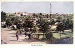 N 02 - Parque da Curia - Ed. Sociedade das guas da Curia - Dim.13,9x9,1 cm - Col. A. Simes (039).