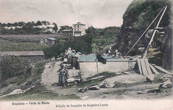 SN - Portugal. Espinho. Fonte do Mcho - Editor Joaquim de Sequeira Lopes - Dim. 14x9 cm. - Col. M. Chaby