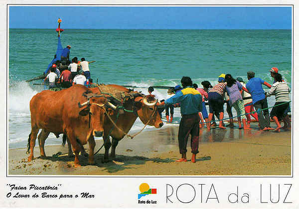 N. 42 - ROTA DA LUZ (Faina Piscatria) O levar do Barco para o Mar - Ed. Artes Grficas - S/D - Dim. 15x10,5 cm - Col. Mrio Silva.