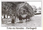 N. 40529 - Trs-os-Montes - Portugal - Usos e Costumes Regionais - Nunes de Almeida.Editores, AP 83 2711- 999 Sintra postaisdeportugal@portugalmail.pt Arquivo: Foto Fernandes*Macedo de Cavaleiros Fotografia:Cortesia da Junta de Freguesia de Morais-Macedo de Cavaleiros - SD - Dim. 15x10,5 cm - Col. Ftima Bia (2011)