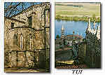 N. 3261 - TUI (Pontevedra) - Panoramica sobre el ro Mio desde las torres de la Catedral - Editor FAMA - fOTO J. VINAS - Dim. 15x10,5 cm - Col. Mrio Silva.