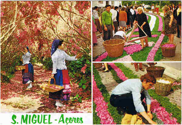 N.º 54 - S. MIGUEL - AÇORES Preparando tapetes de flores - Ed. da Comissão Regional de Turismo - Ponta Delgada LITO OF. ARTISTAS REUNIDOS-PORTO - S/D - Dim. 15,1x10,5 cm. - Col. Manuel Bóia (1981).