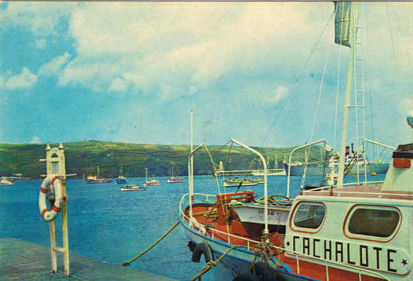 Nº 10 - FAIAL - Açores Porto da Horta, vendo-se as embarcações de caça à baleia e traineiras de pesca de albacora - Ed. da Comissão Regional de Turismo do Distrito da Horta - S/D - Dim. 15x10,4 cm. - Col. Manuel Bóia (1981).